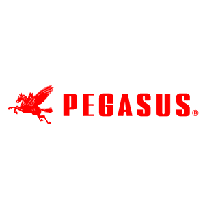 PEGASUS.png